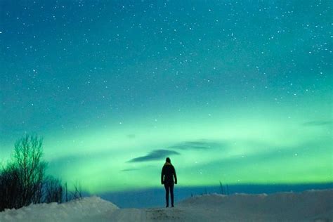 Northern Lights Bus Tour from Reykjavik | Iceland