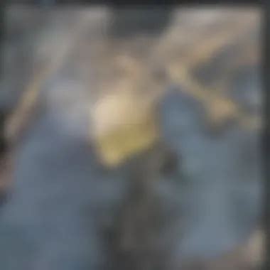 The Environmental Impact of Wind Power: A Balanced Review