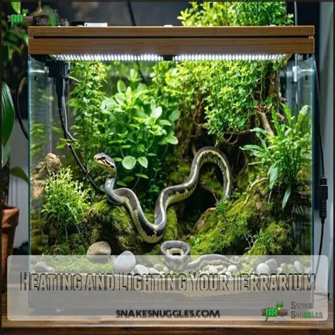 Ball Python Terrarium Setup 的图像结果