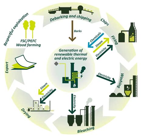 Image result for Pulp Process