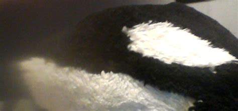 Season 1 | Two Musketeers Wiki | Fandom