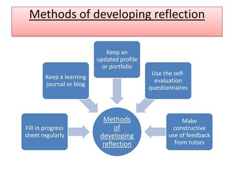 Reflective Learning 的图像结果