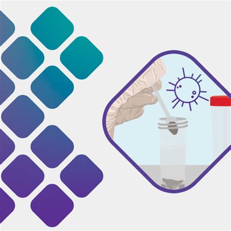 Image result for Qdxpath Stool Collection Instructions