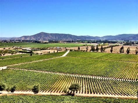 DETOUR WINE TASTE DAY TOUR - All You Need to Know BEFORE You Go 2026 ...