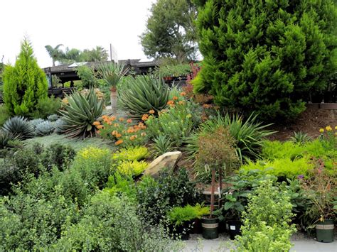 Late to the Garden Party: Nursery Visit: Roger's Gardens