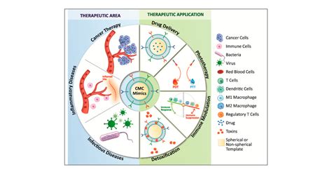 Allison Speed Sensor 的图像结果