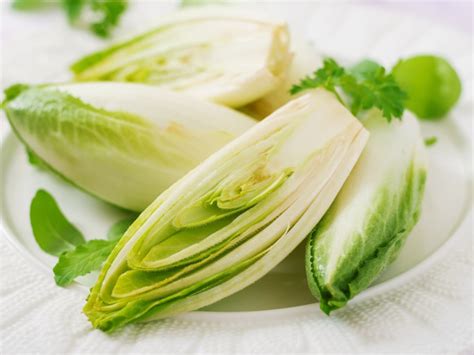 Chicory Vs Endive - Are Chicory And Endive The Same | Gardening Know How