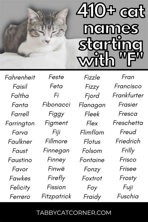 410+ Cat Names Starting With "F" | Cat names, Sign language words ...