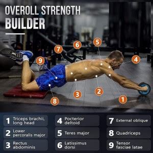 geutejj Abdominal Roller For Home & Gym Workout Exercise Equipment_271 ...