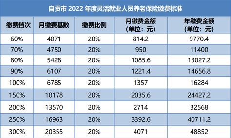 洛阳市2020年度灵活就业人员社会保险缴费基数说明