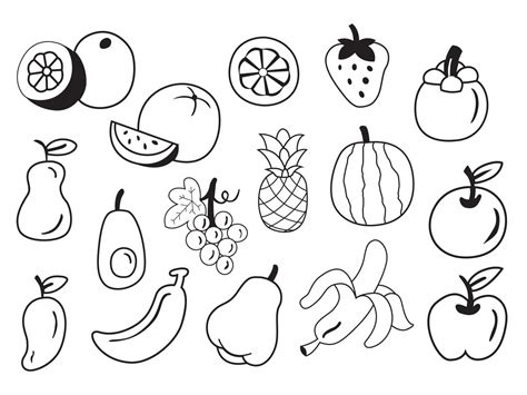 ILLUSTRATION OUTLINE OF FRUITS 6127101 Vector Art at Vecteezy