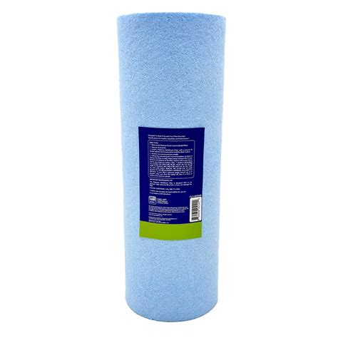 Clorox Platinum Premium 2 Pack Pool Filtration Replacement for Hayward ...