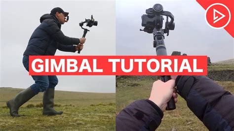 Gimbal Tutorial 的图像结果