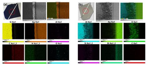 A Study on the Wet Process Conditions That Affect the Selective ...