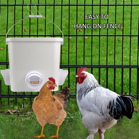 Snapklik.com : Automatic Chicken Feeder Set Hanging Chicken Feeder No ...