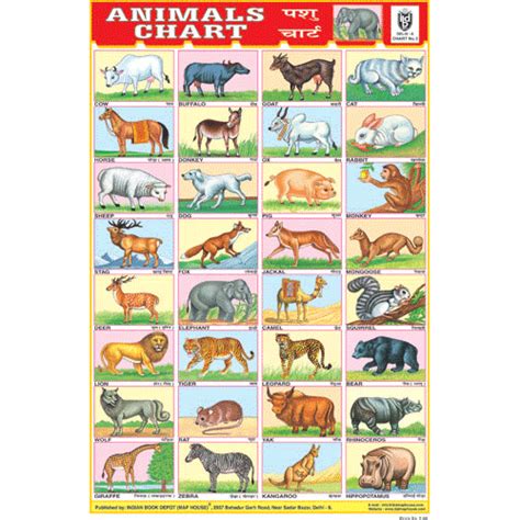 ANIMALS CHART 32 PHOTOS SIZE 24 X 36 CMS CHART NO. 3