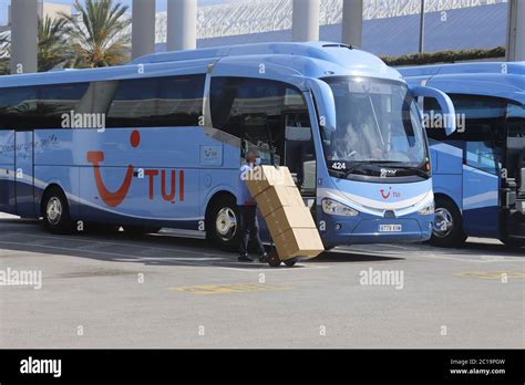 Image result for Tui Local Bus