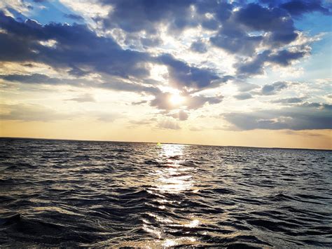 MALPEQUE BAY KAYAK TOURS - All You Need to Know BEFORE You Go (with ...
