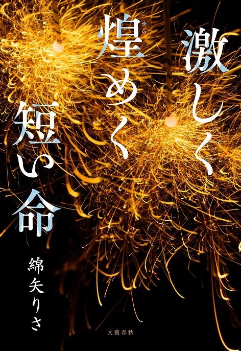 Programmieren in Python 的图像结果