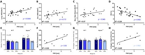 2D Projection Maps of WSS and OSI Reveal Distinct Spatiotemporal ...