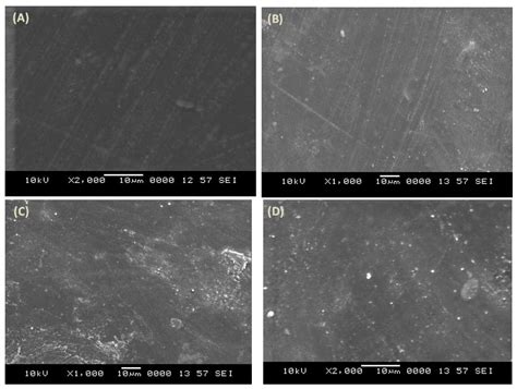 Development and Testing of Zinc Oxide Embedded Sulfonated Poly (Vinyl ...
