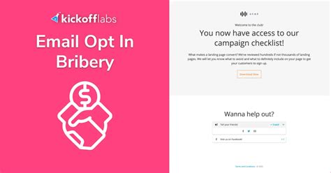 Opt-In Email Campaign 的图像结果