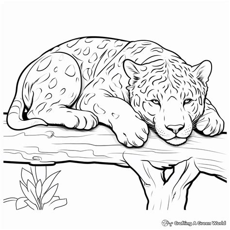 Jaguar Coloring Pages
