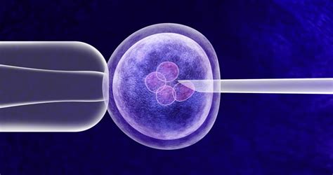 Microfluidics in IVF - Best Microfluidics Treatment | Bloom IVF
