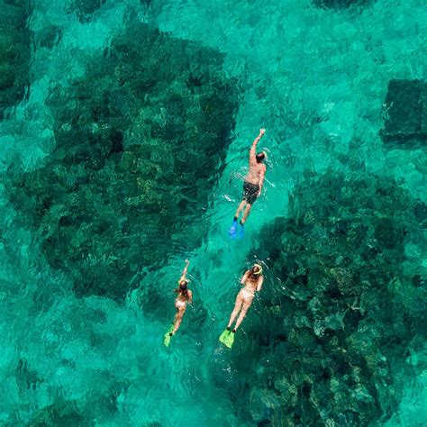 TAVARUA ISLAND RESORT - Resort Reviews & Photos - Tripadvisor