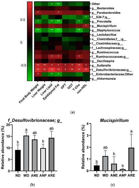 Assessment of Areca Nut Bioactivities in Western Diet-Induced Mice ...