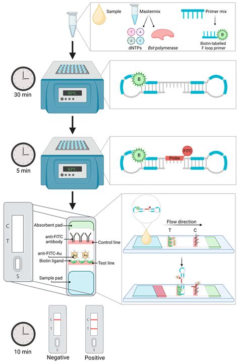 Current and Future Advances in the Detection and Surveillance of ...