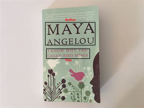 Image result for MLA 8th Edition Essay Format Steps