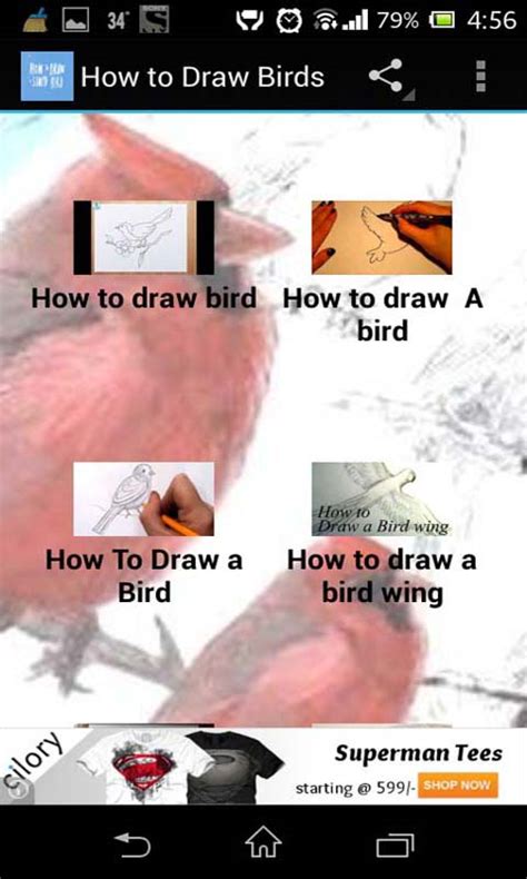 How to draw birds - Learning Videos for Kids - App on Amazon Appstore