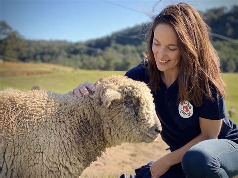 Sheep Wool - #WearItKind – a FOUR PAWS campaign to end cruelty in fashion