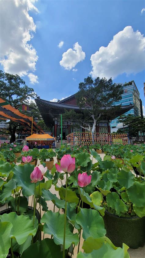 Gyeongbokgung & Top Attractions Walking Tour - Klook India