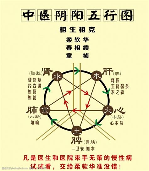 天干地支 五行生克 数字五行 设计图__图片素材_其他_设计图库_昵图网nipic.com