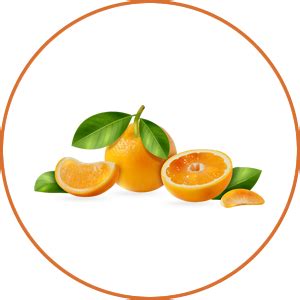 Avimee Herbal Narangi Water | For Oily Skin | For Acne Free Skin | 110 ...