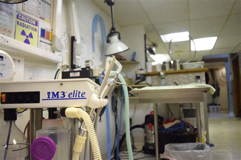 Slade Veterinary Hospital Gallery | Vet In Framingham, MA