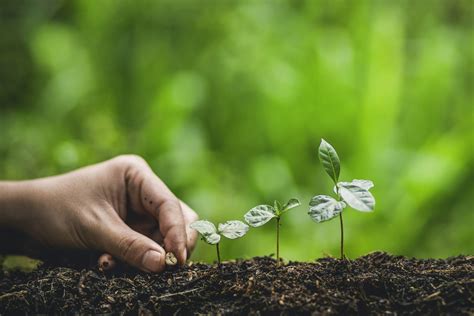 トップメッセージ – エムシークロップ＆ライフ化成株式会社