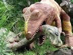 Sudwala Dinosaur Park, Lowveld