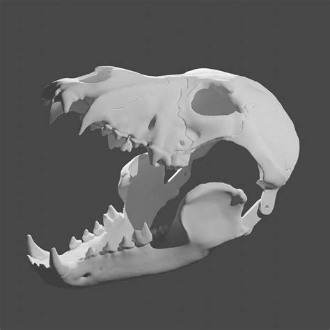 Wolf Skull Mask Moving Jaw3d Model STL File Animal Skull - Etsy Australia