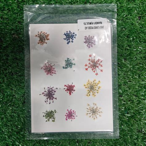 DRY PRESSED JEWELLERY FLOWERS MULTY MINI – JorShor