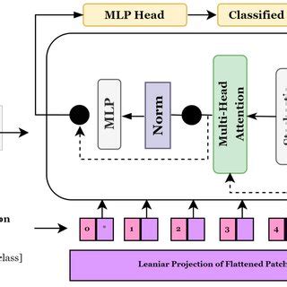 Vision Transformer 的图像结果