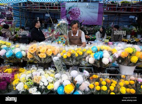 Visit the Flower Market in New Year 的图像结果
