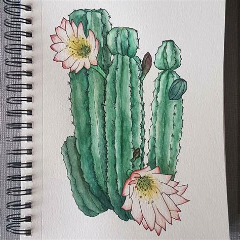 Hello Local 的图像结果