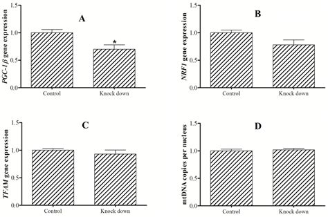 Molecular Characterization of PGC-1β (PPAR Gamma Coactivator 1β) and ...