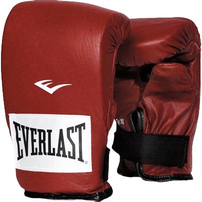 Снарядные перчатки Everlast Powerlock eveboxglove023 купить в интернет ...