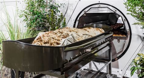 Image result for Compost Autopsy