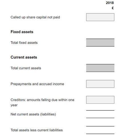 Micro Entity Balance Sheet Guide 的图像结果