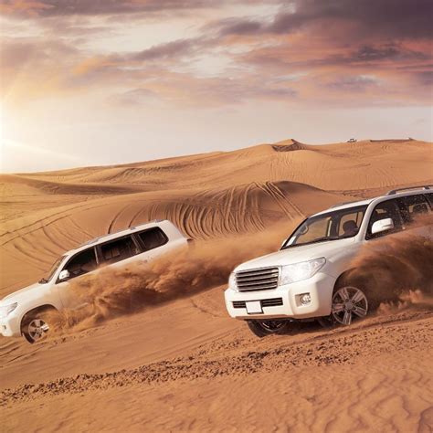 Rukhad National Park: Your Guide To MP's Secret Tiger Treasure